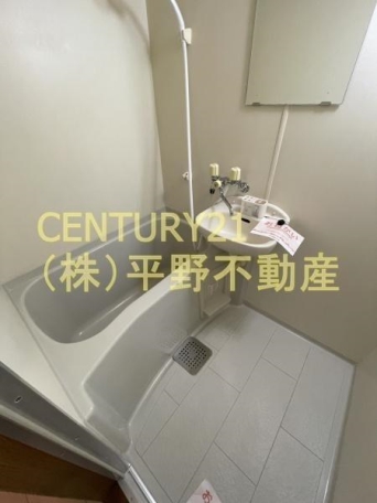 バス